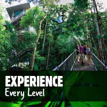 Daintree Rainforest Tours and Prices