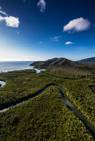 Helicopter Aerial Image - Daintree Rainforest Tours
