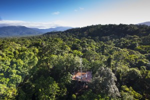Canopy Tower View | The Daintree Rainforest Discovery Centre
