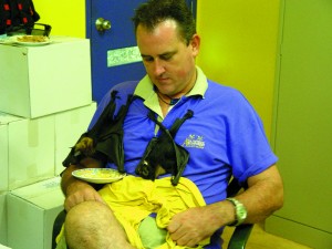 Discovery Centre staff form part of Wildlife Rescue in the Daintree region