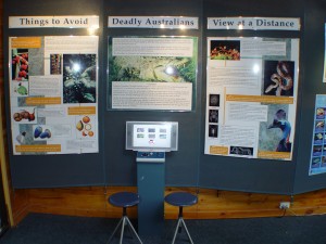 Learn about the dangers of the Daintree Rainforest