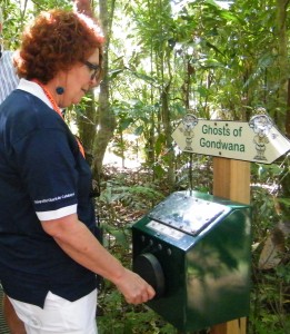Outdoor display - Daintree Rainforest Information - Daintree Discovery Centre