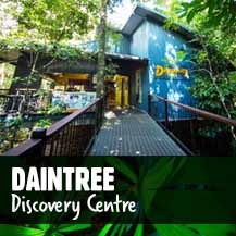 Daintree Discovery Centre - #1 Attraction in the Daintree Rainforest