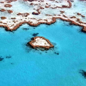 Great Barrier Reef - Port Douglas