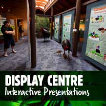 Daintree Rainforest Interpretive Display Centre - Daintree Discovery Centre