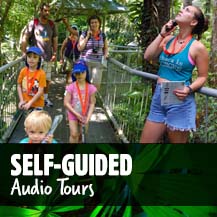 Audio Tours - Daintree Rainforest Tours
