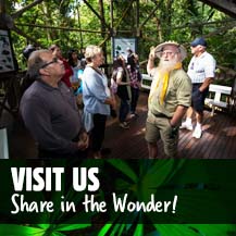 Daintree Discovery Centre - #1 Attraction in the Daintree Rainforest