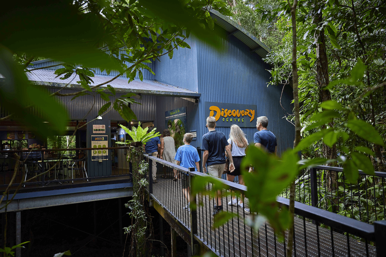 daintree discovery centre tours