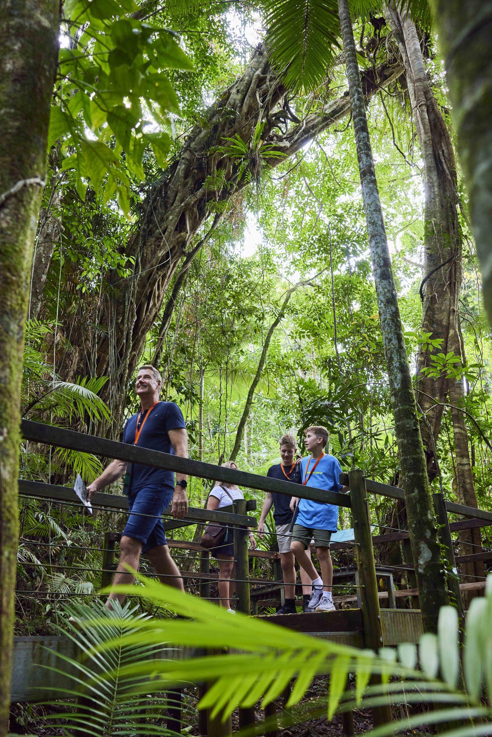 daintree rainforest trip from cairns
