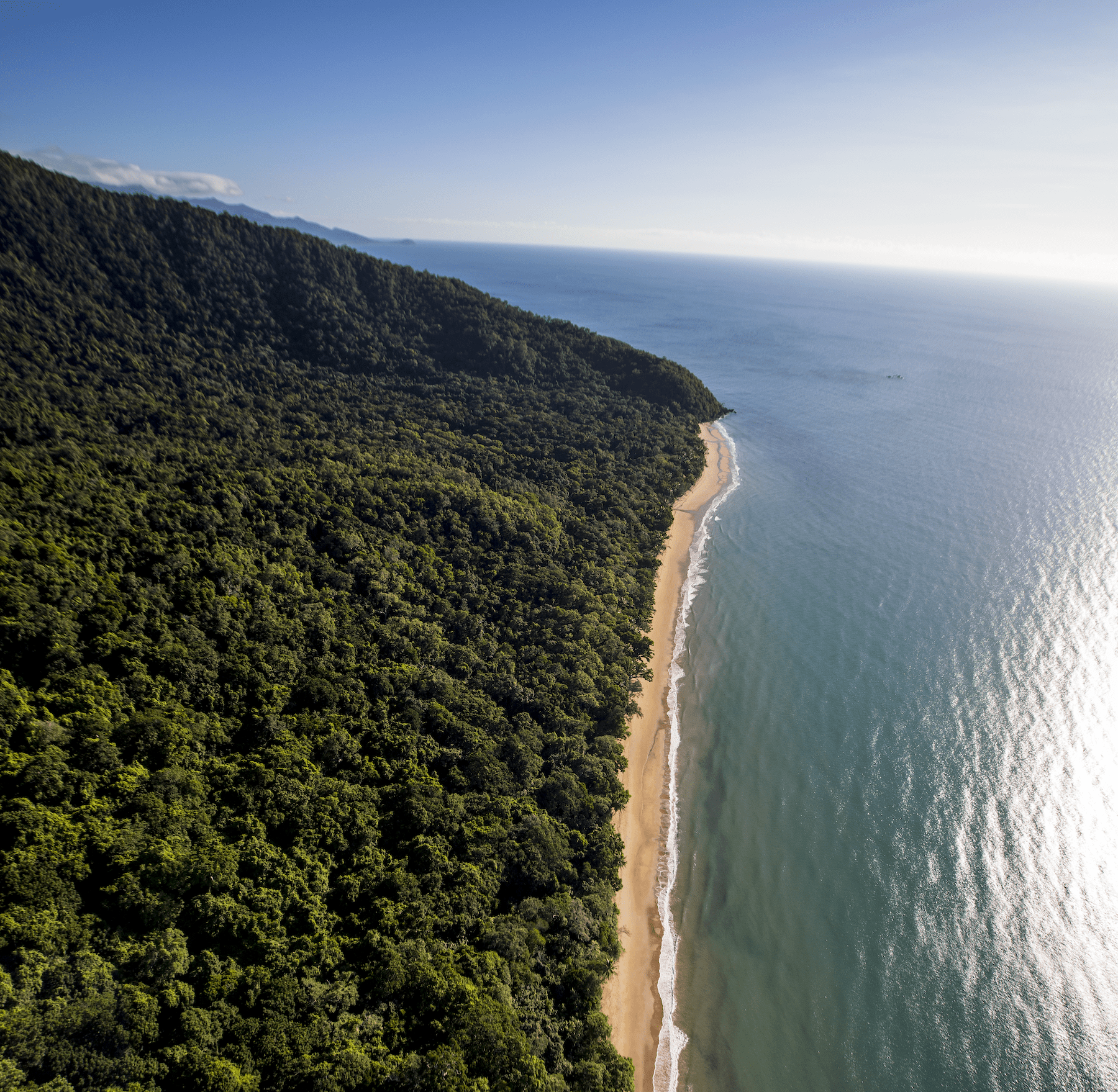 tour cape tribulation daintree