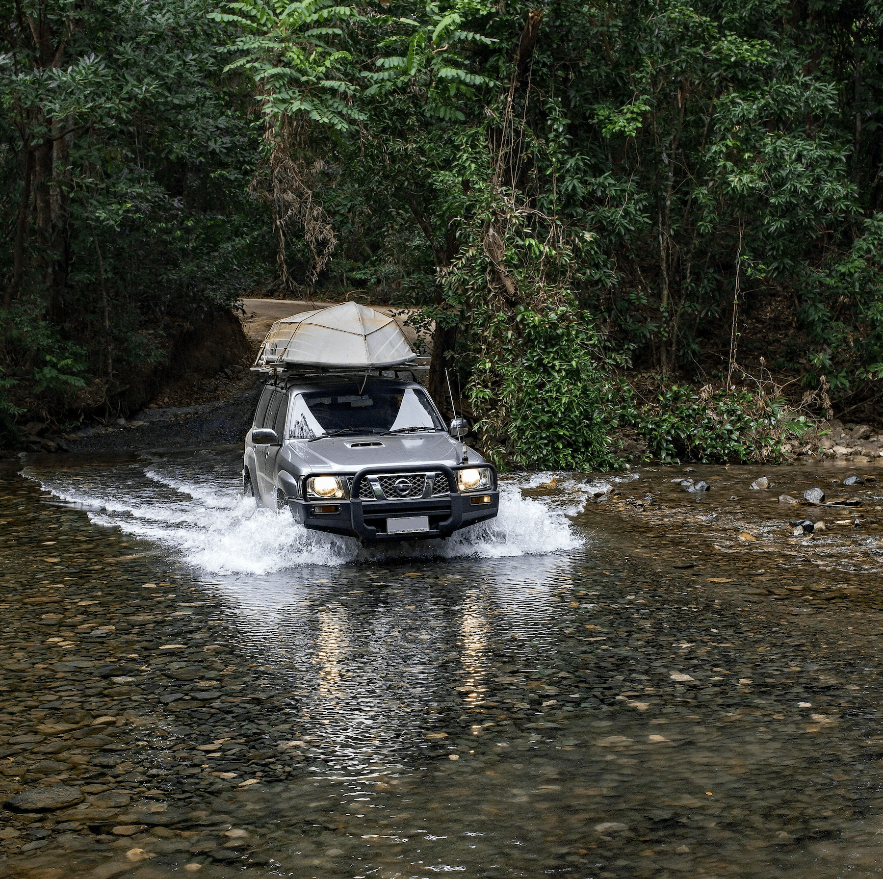 cape tribulation self guided tours