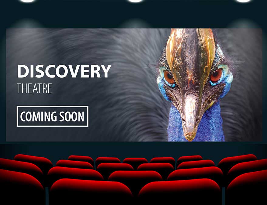 DISCOVERY THEATRE